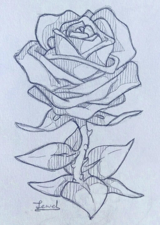 rose